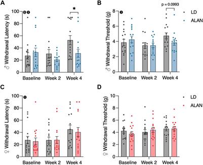 Artificial light at night alters progression of cold neuropathy in a sex-dependent manner in a mouse model of type II diabetes mellitus
